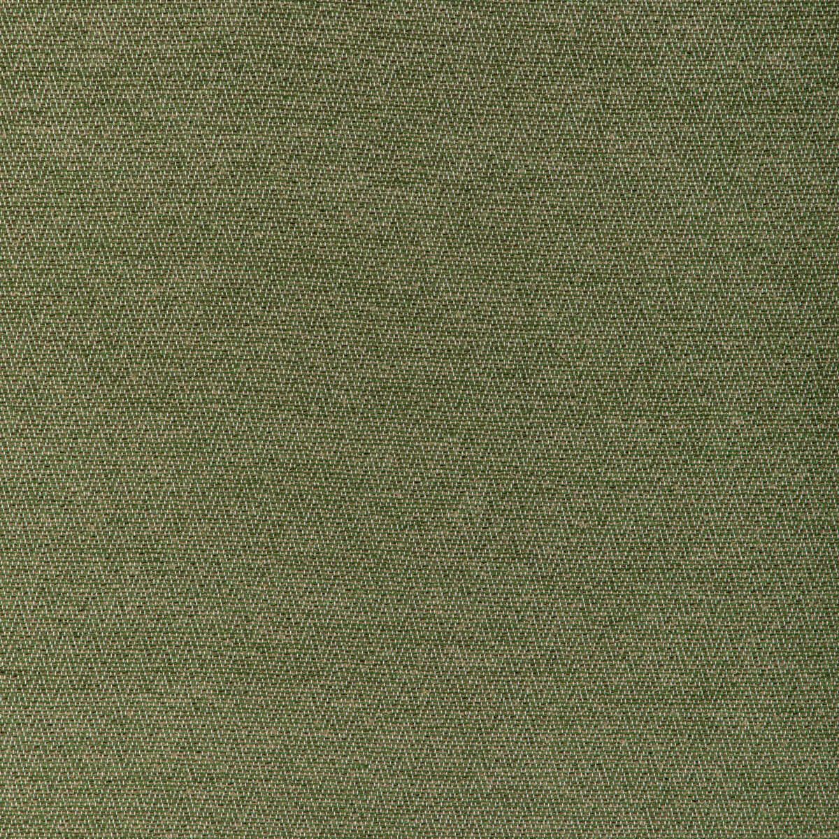 Beauvoir Texture - Leaf