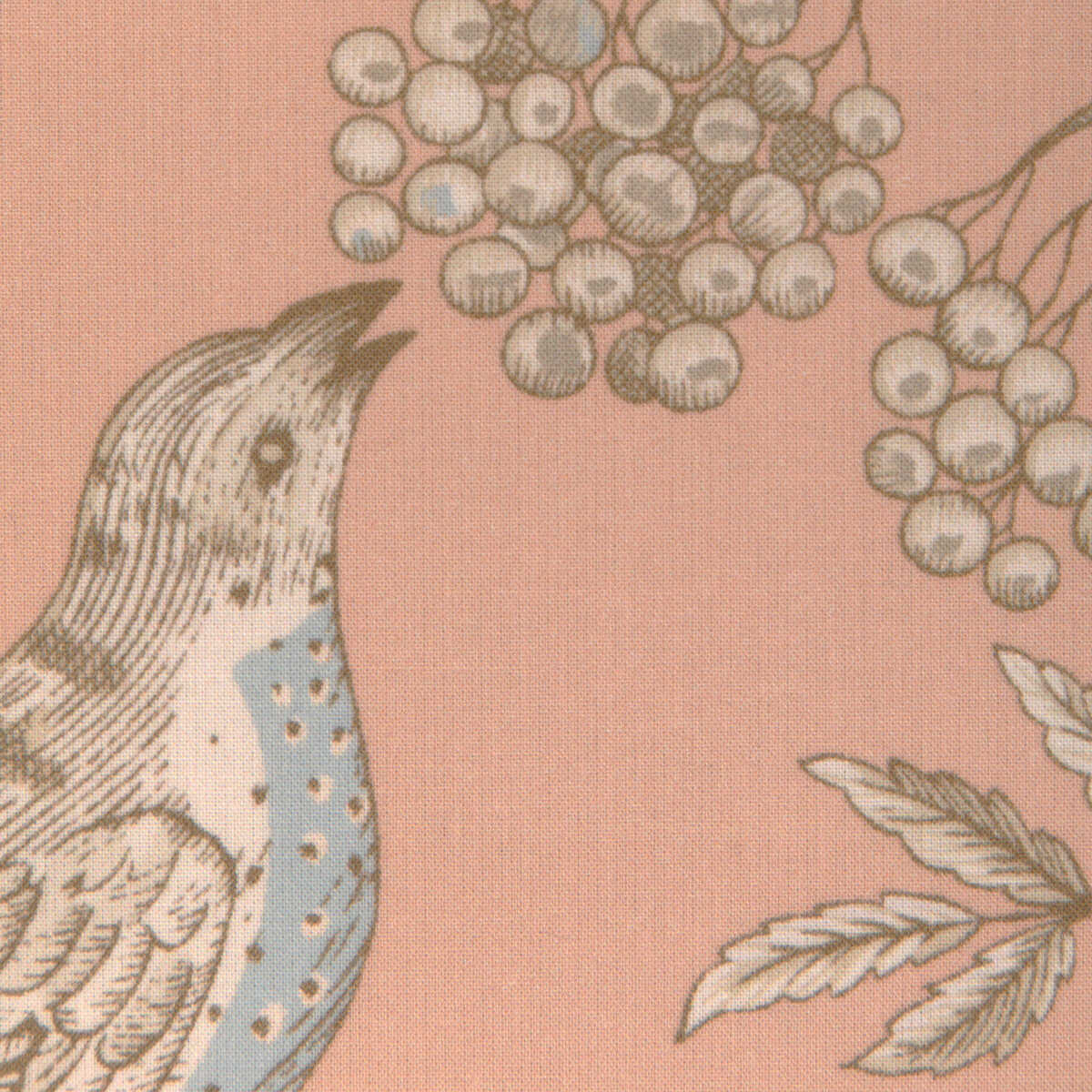 Bird And Thistle Ii - Peach - BRUNSCHWIG & FILS Tela