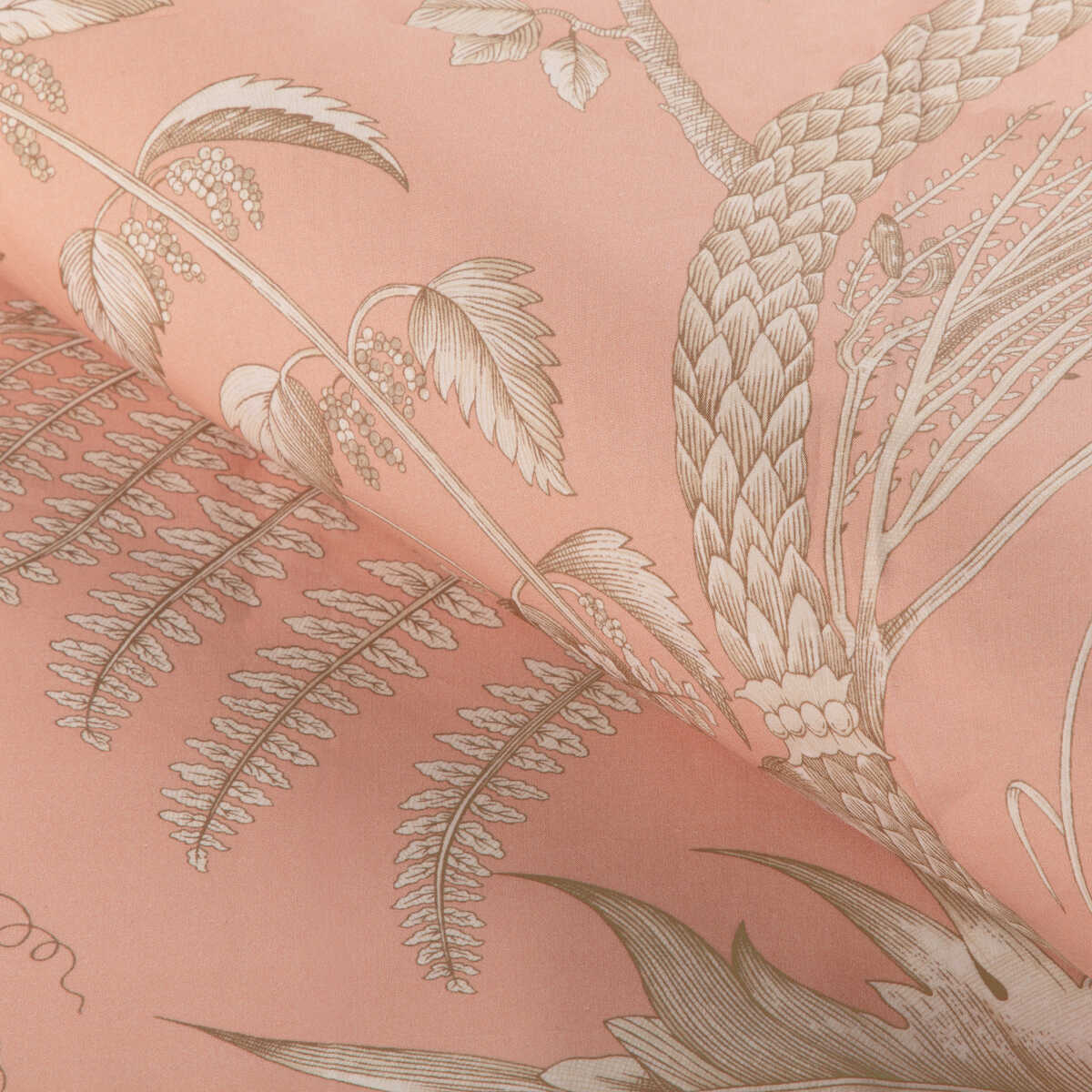 Bird And Thistle Ii - Peach - BRUNSCHWIG & FILS Tela