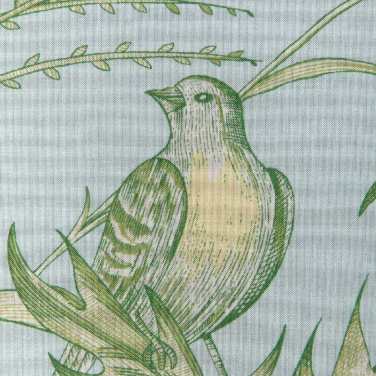 Bird And Thistle Ii - Sky - BRUNSCHWIG & FILS Tela