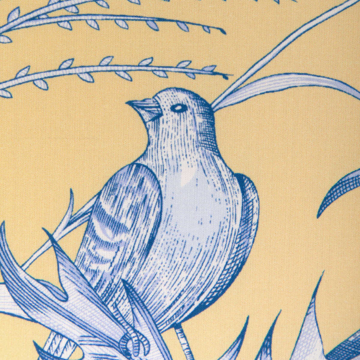 Bird And Thistle Ii - Sun - BRUNSCHWIG & FILS Fabric