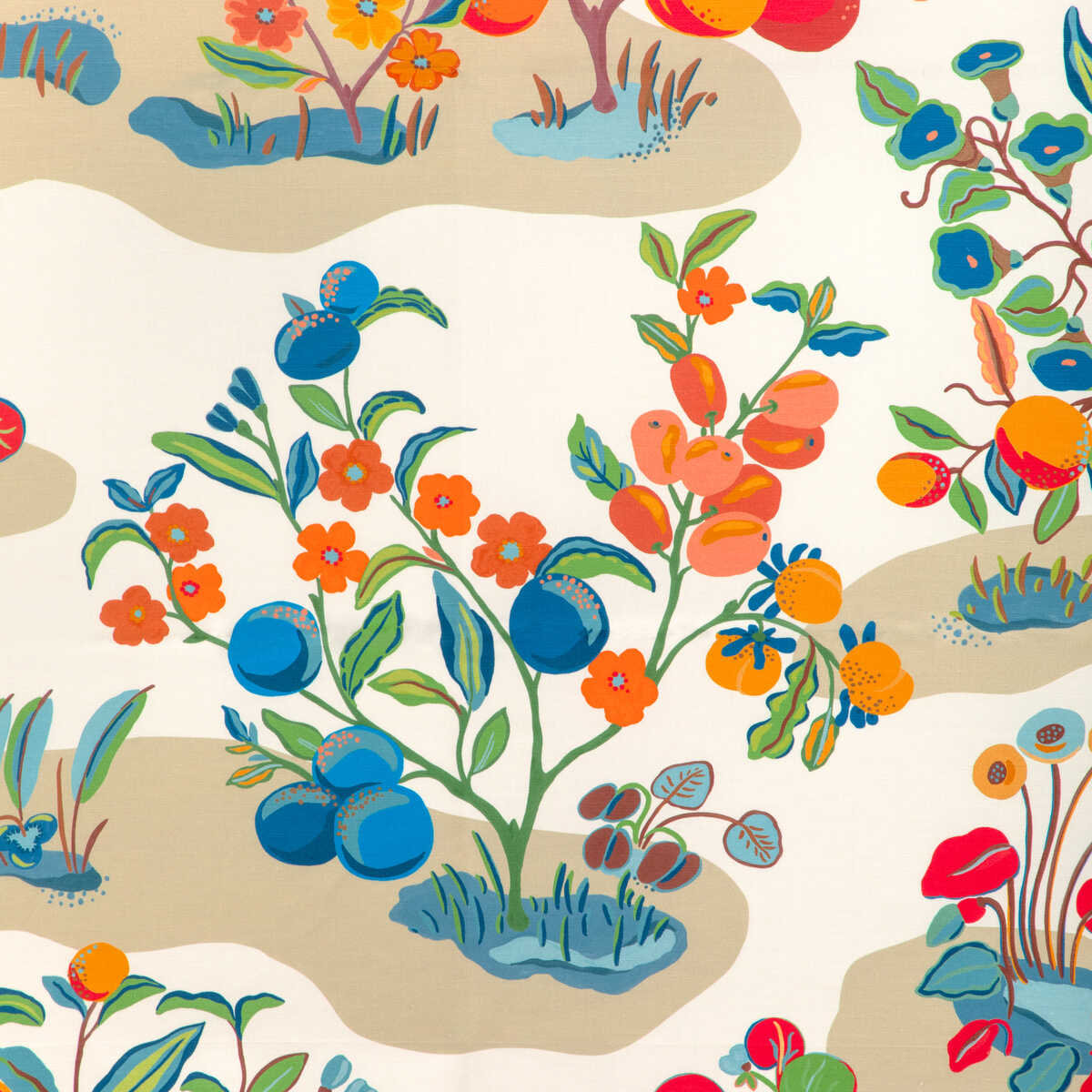 Pomelo Print - Multi - BRUNSCHWIG & FILS Tela