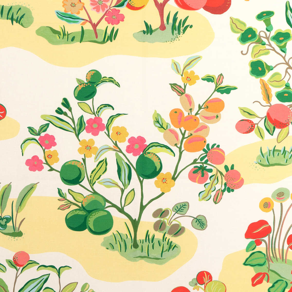 Pomelo Print - Spring - BRUNSCHWIG & FILS Tela