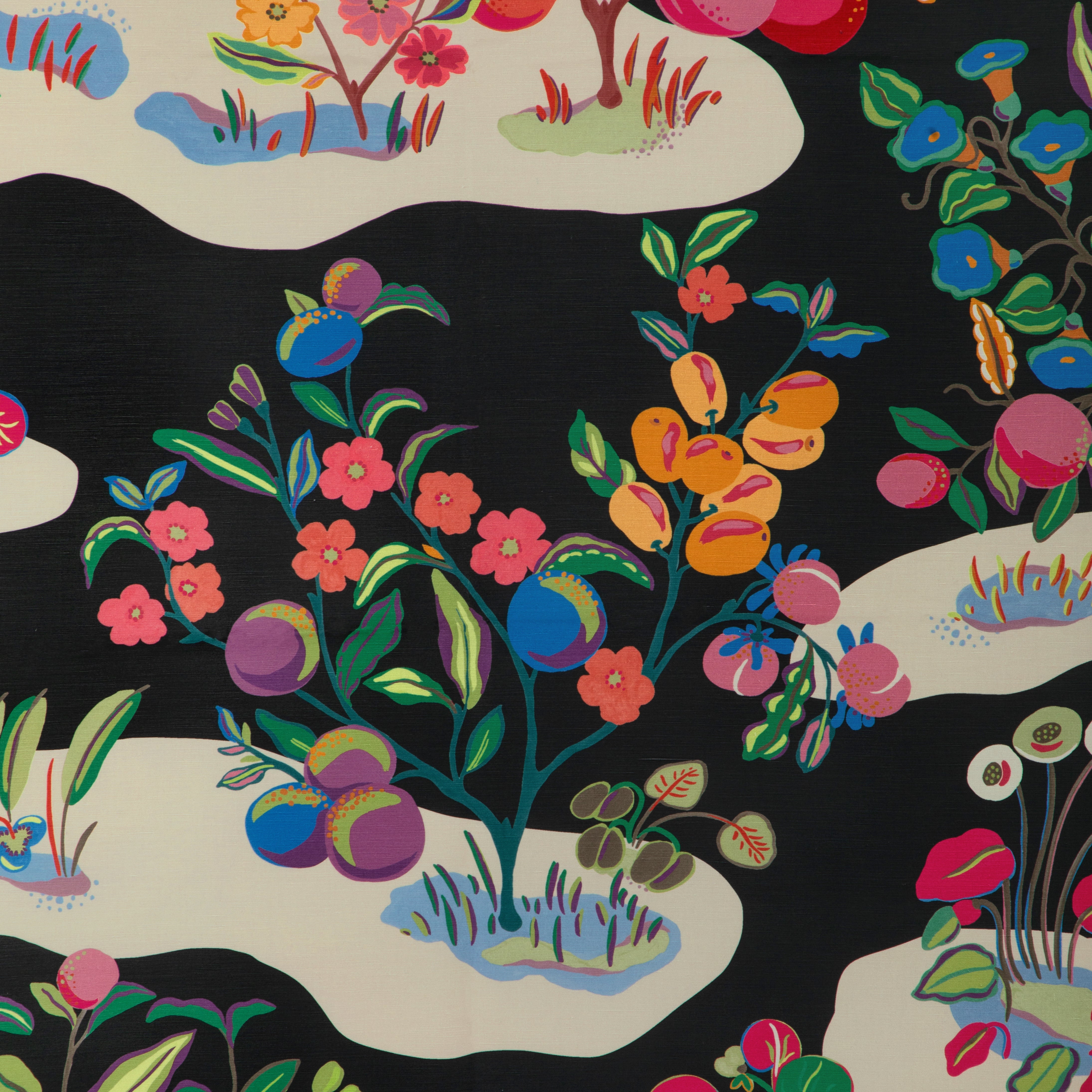 Pomelo Print - Noir - Brunschwig & Fils Fabric