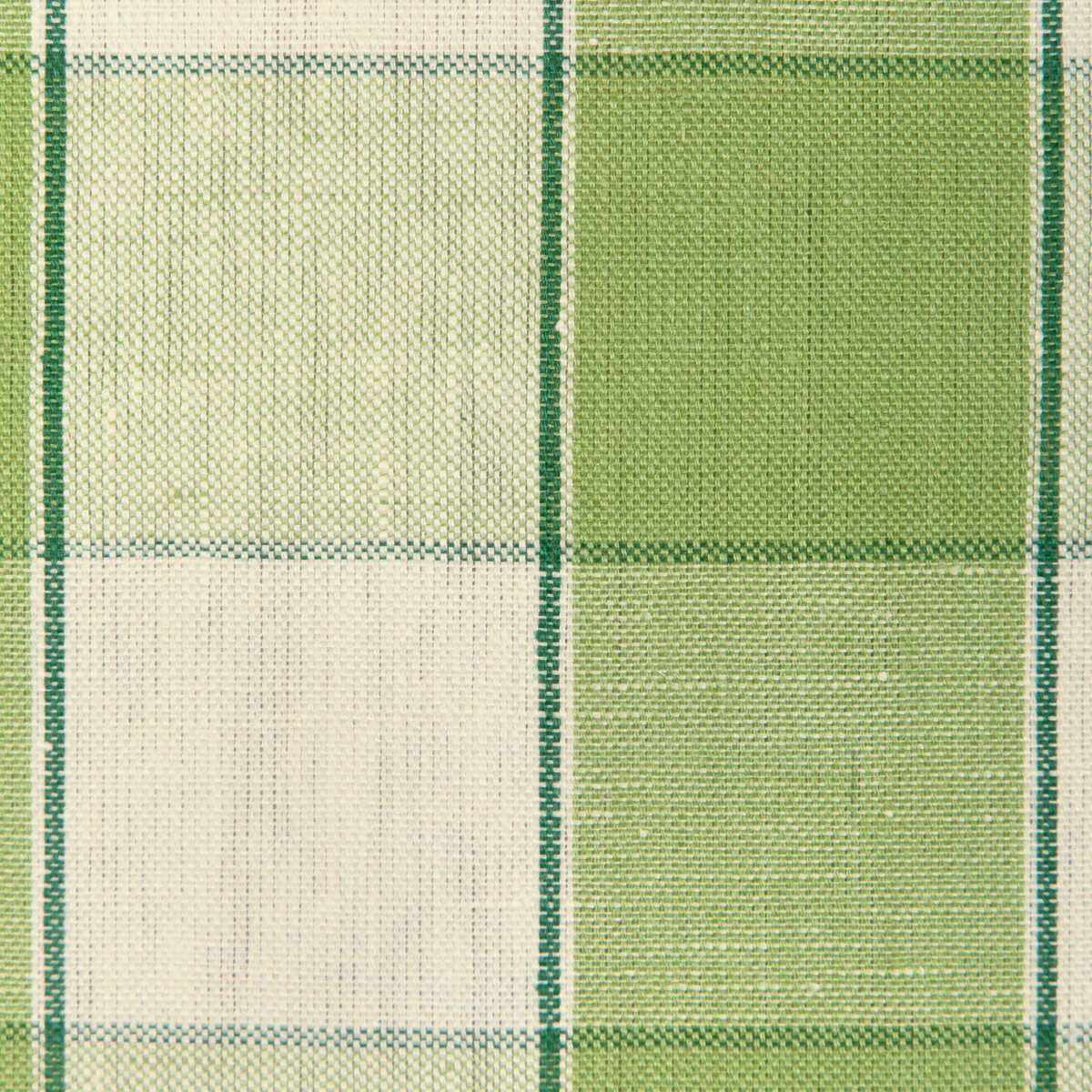 Clemens Check - Green - BRUNSCHWIG & FILS Tela