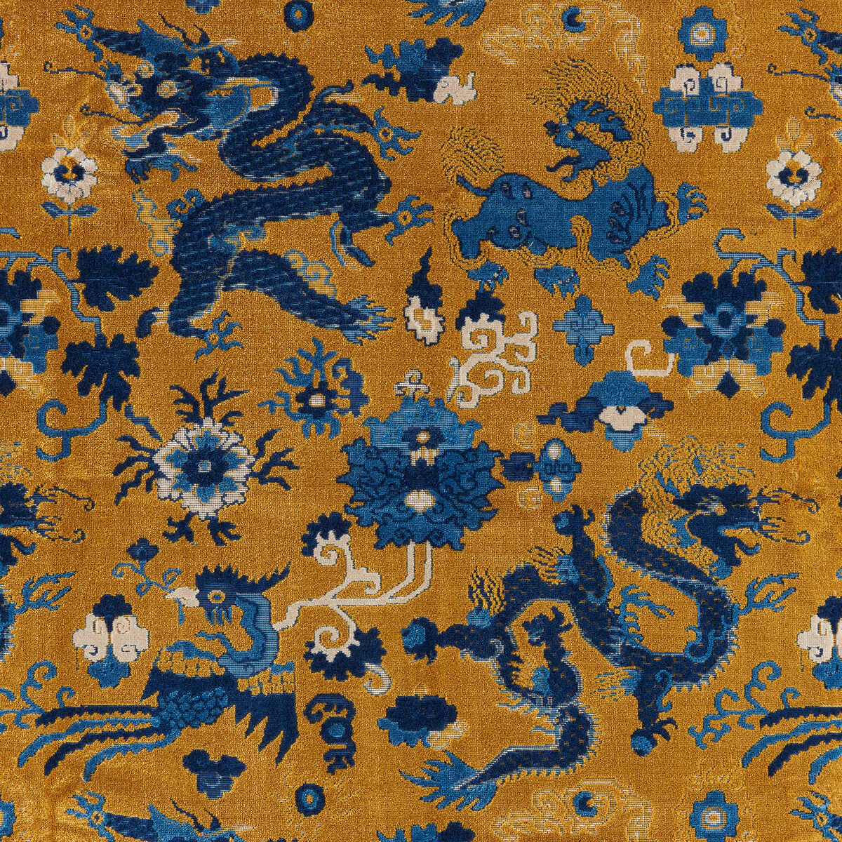 Le Dragon Velvet - Gold