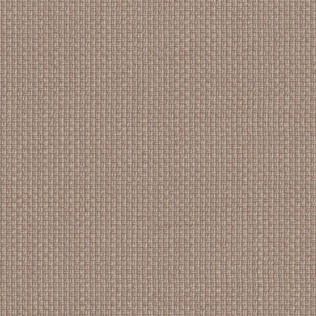 Corbel Plain - Beige