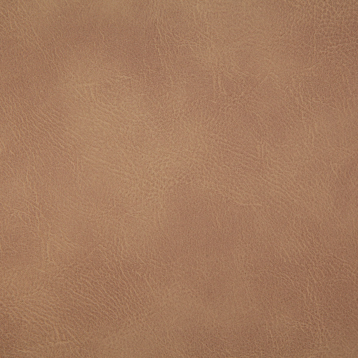 8077-gitty-up-honey-pindler - Pindler Tela