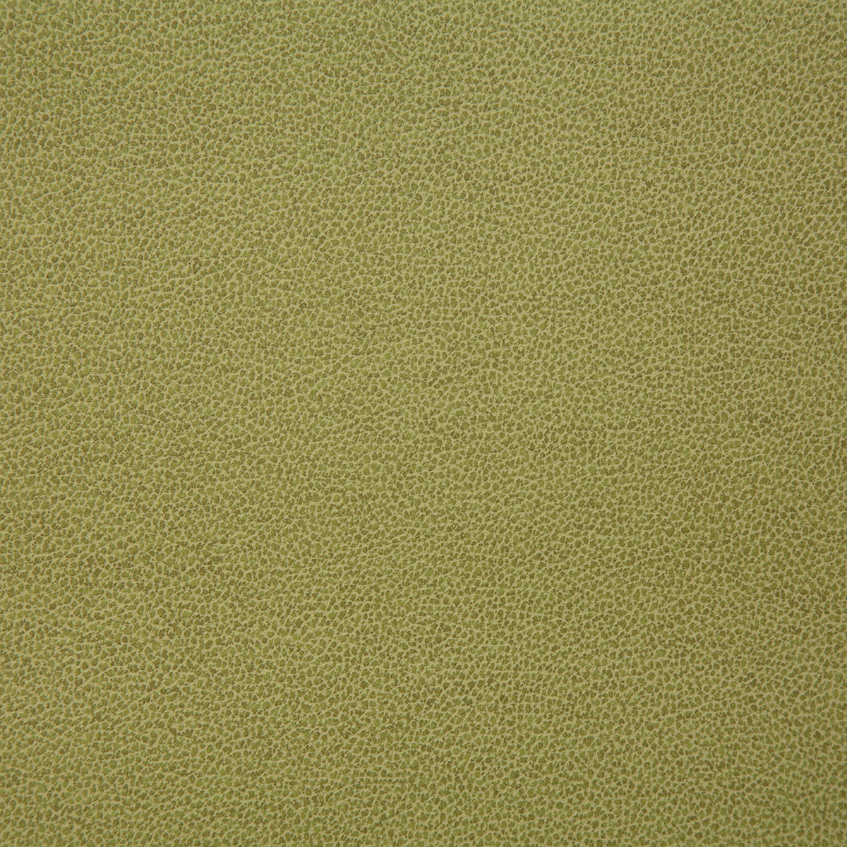 8078-lasso-citron-pindler - Pindler Fabric