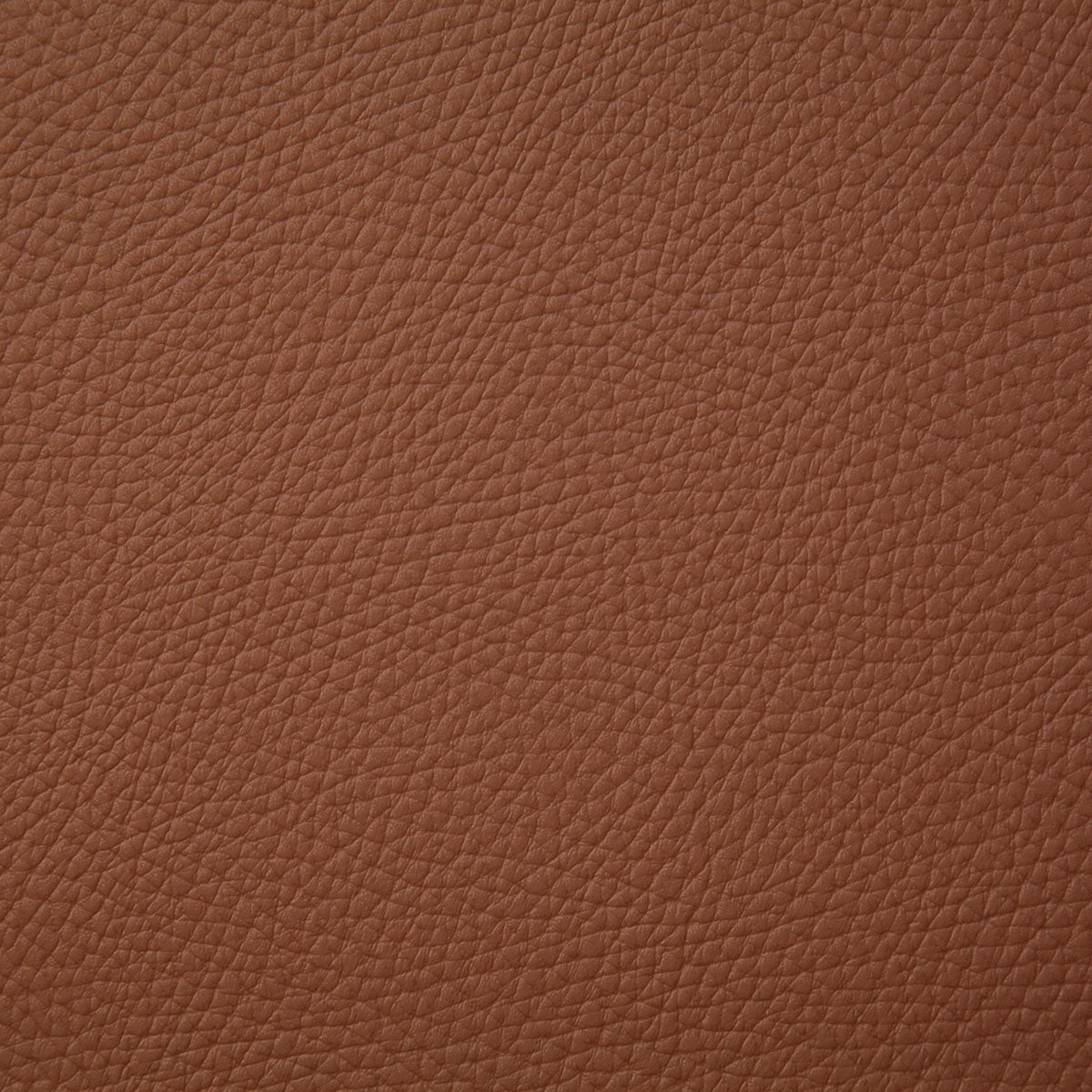 8079-bandero-saddle-pindler - Pindler Fabric
