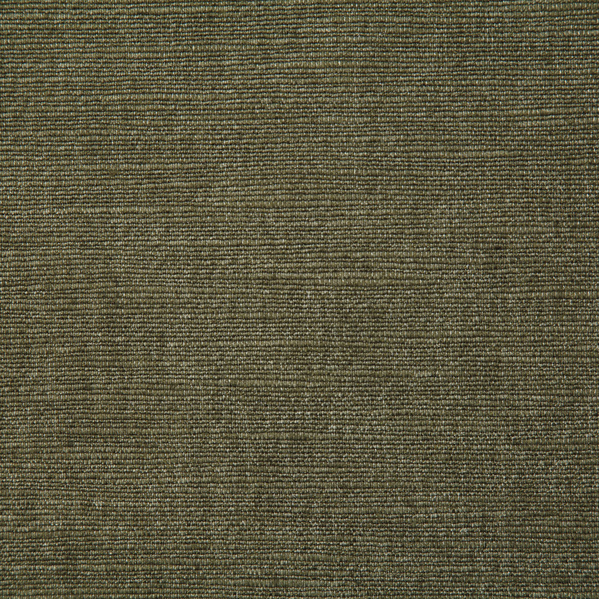 8100-thompkins-olive-pindler - Pindler Fabric