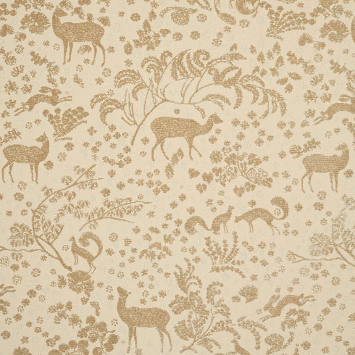 ARBOR-FOREST-CHAMPAGNE-SCHUMACHER-81311