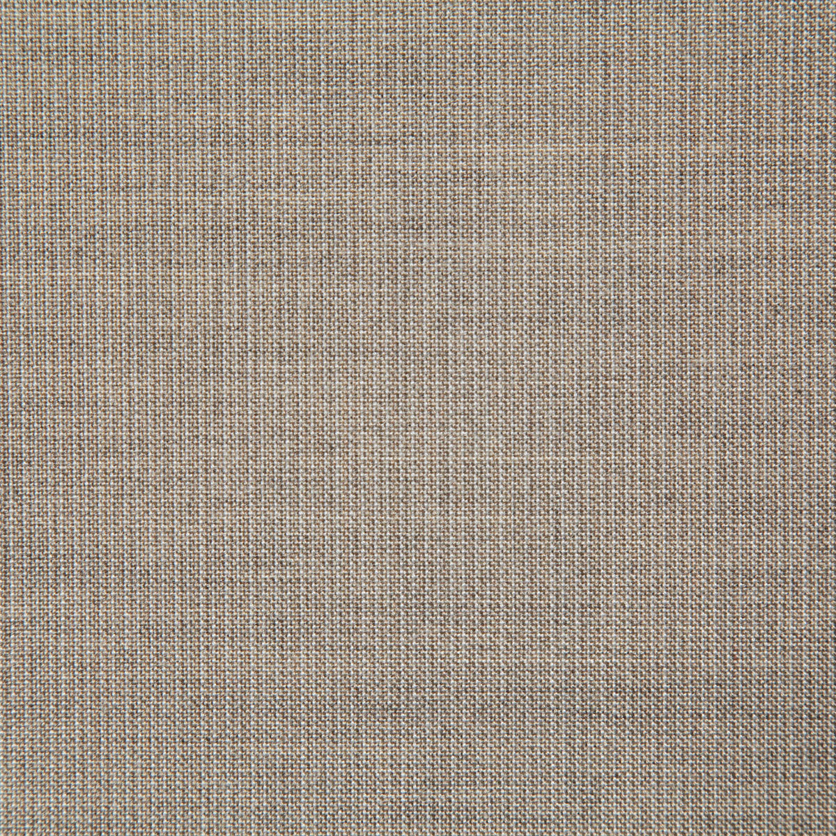 8166-rockwell-dove-pindler