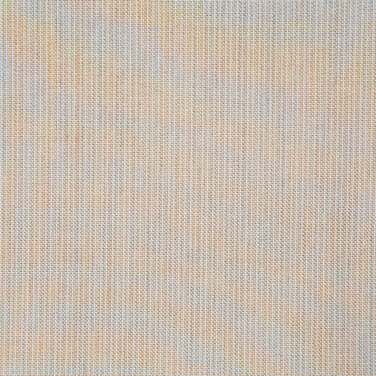 8166-rockwell-shell-pindler