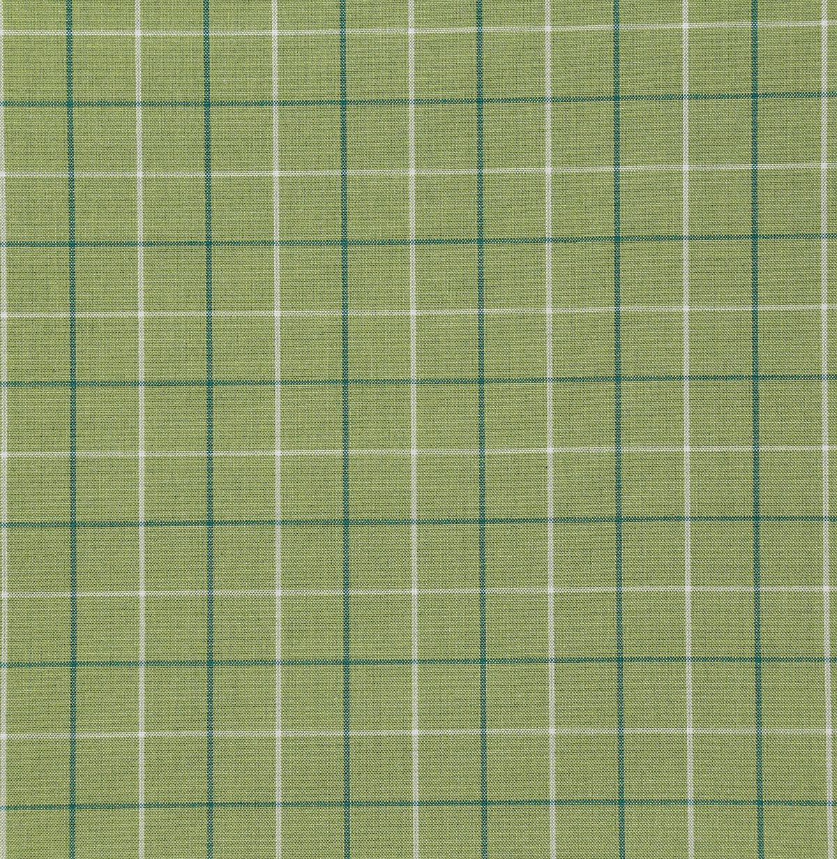 8178-zuma-sprout-pindler - Pindler Tela