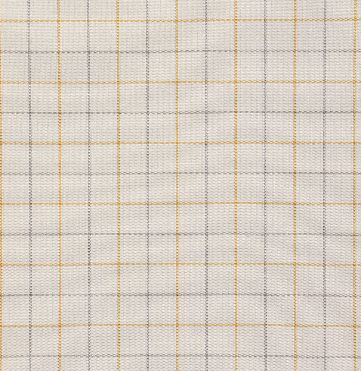 8178-zuma-sunshine-pindler
