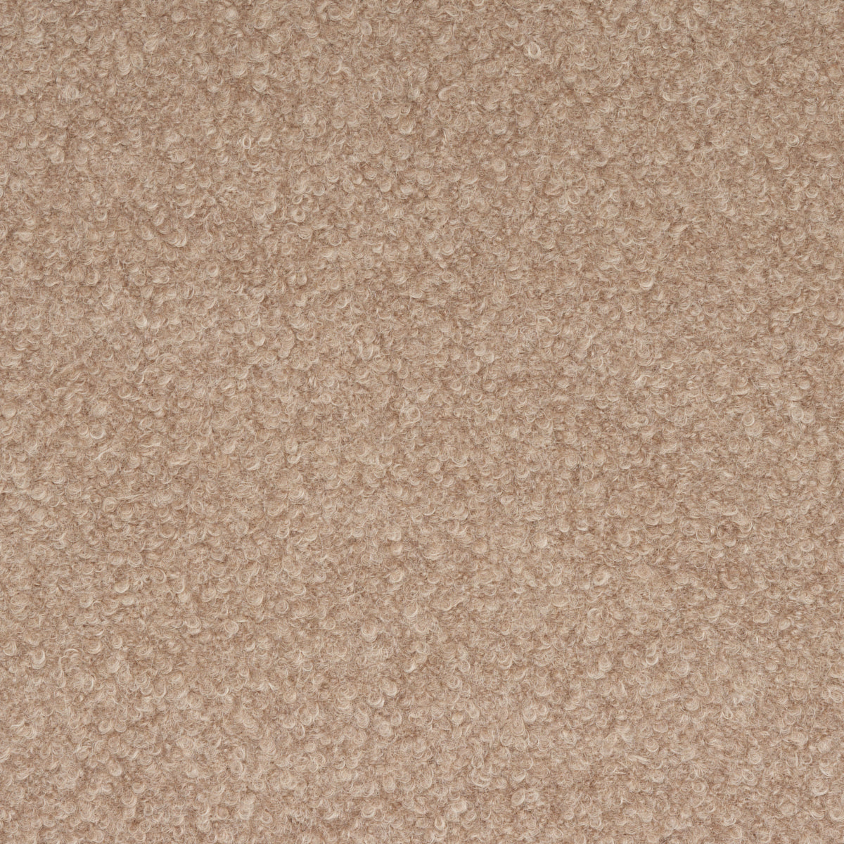 TEDDY-WOOL-BOUCL-FAWN-SCHUMACHER-82062