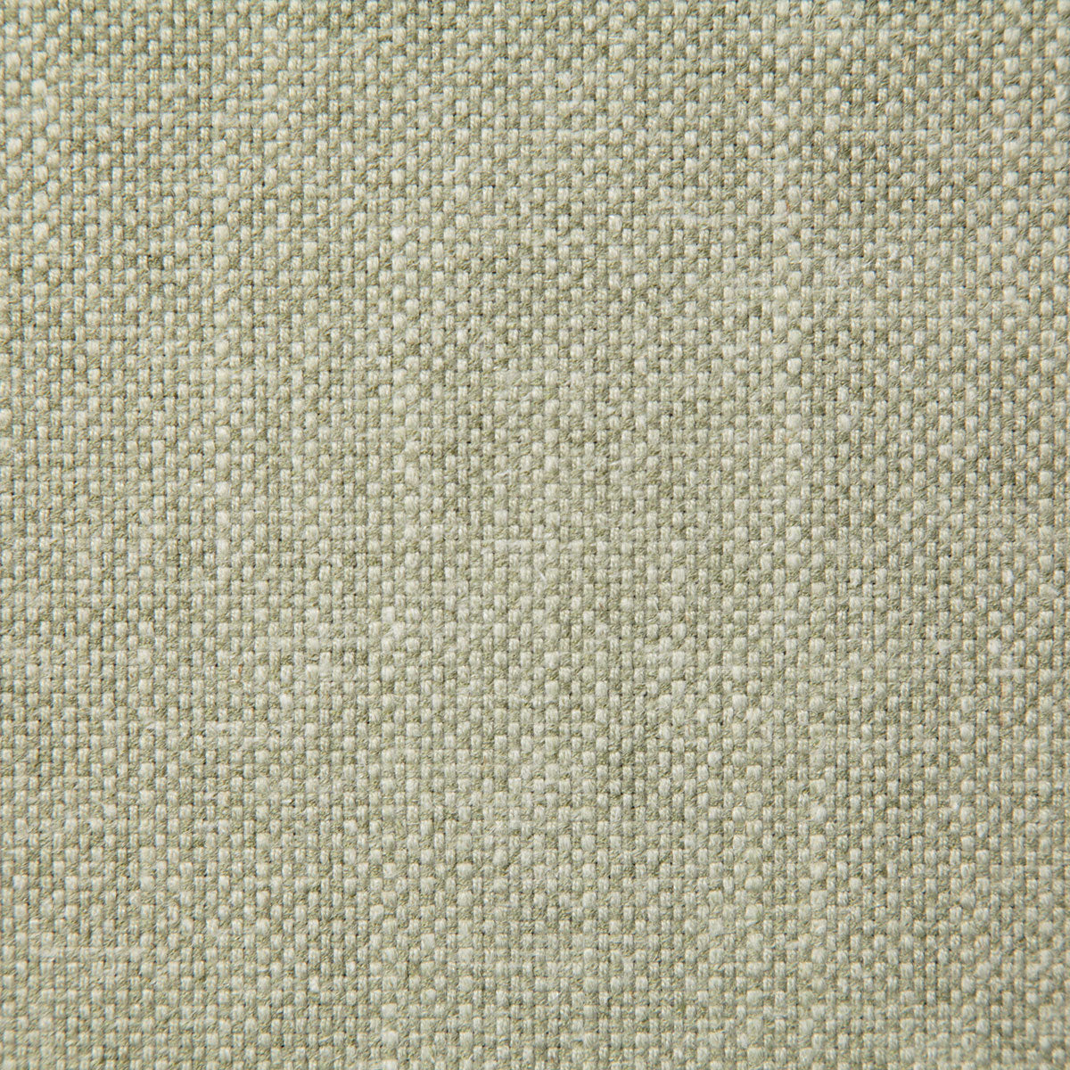 8209-mann-aloe-pindler