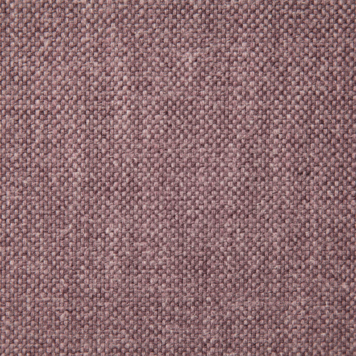 8209-mann-lavender-pindler