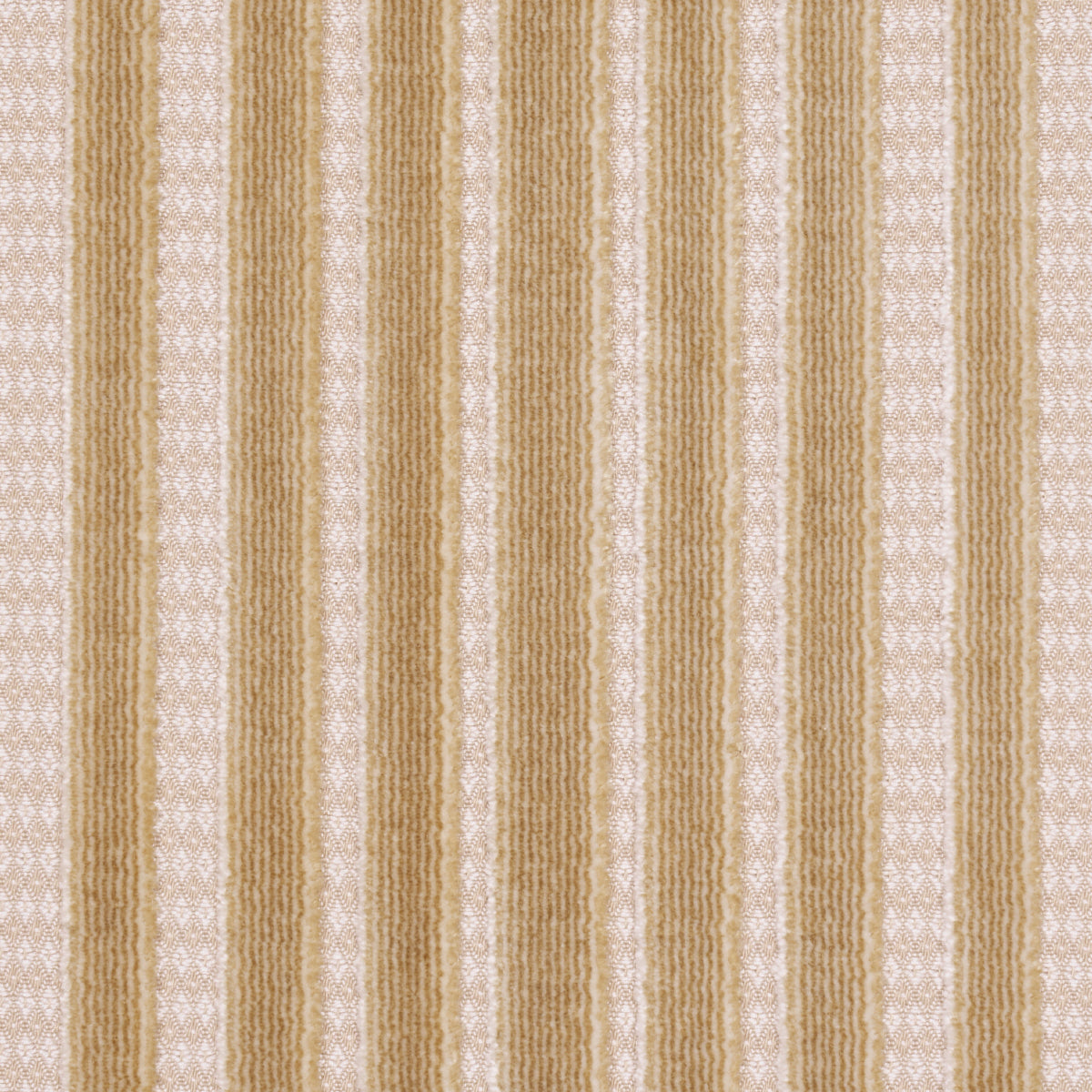 Chimay Stripe Velvet - Champagne - Schumacher 82153 Fabric - Schumacher Fabric