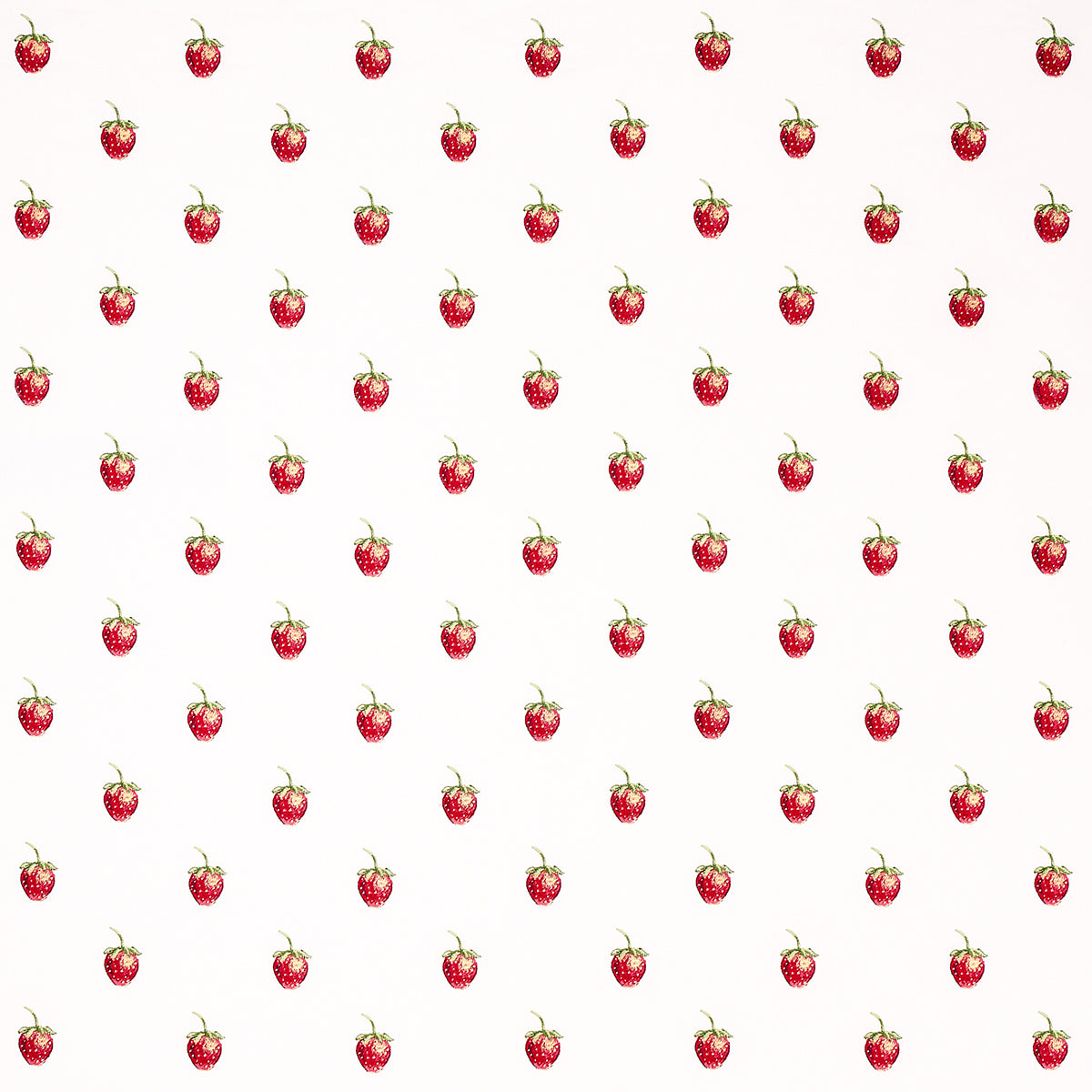 FRESHIE-FRESH-IVORY-SCHUMACHER-82280 - Schumacher Fabric