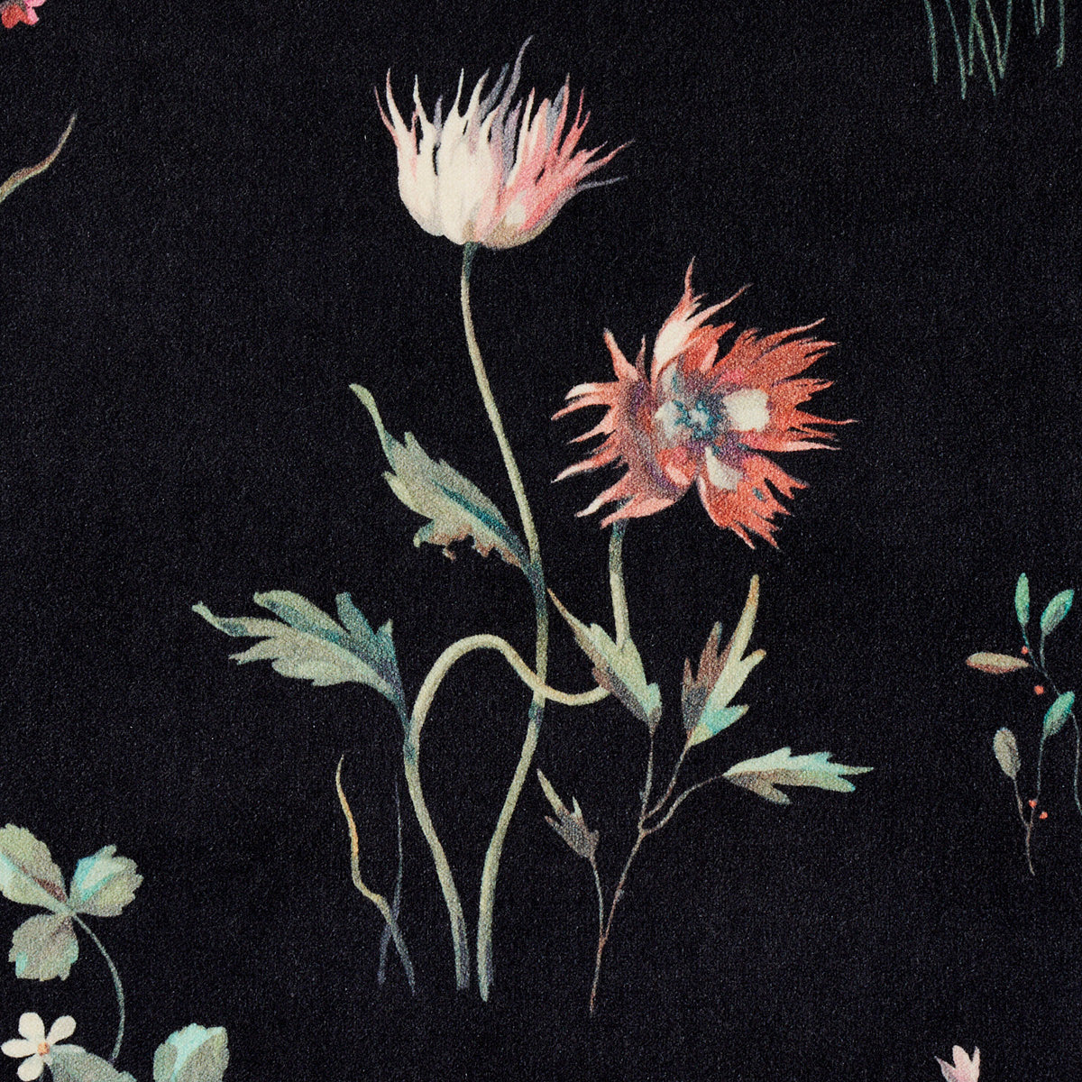 PRIMAVERA-VELVET-BLACK-SCHUMACHER-82540 - Schumacher Fabric