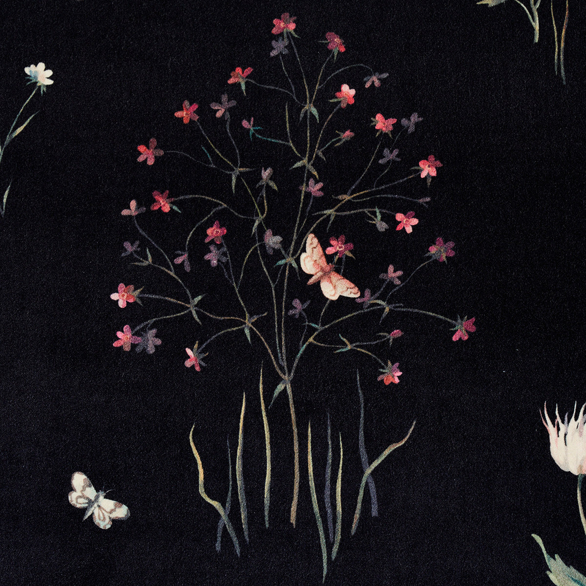 PRIMAVERA-VELVET-BLACK-SCHUMACHER-82540 - Schumacher Fabric
