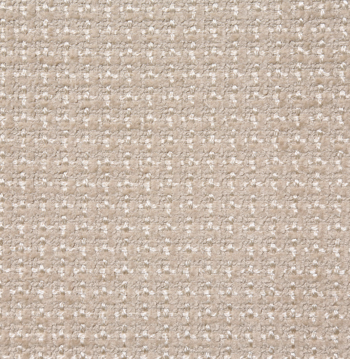 8264-ayton-mushroom-pindler