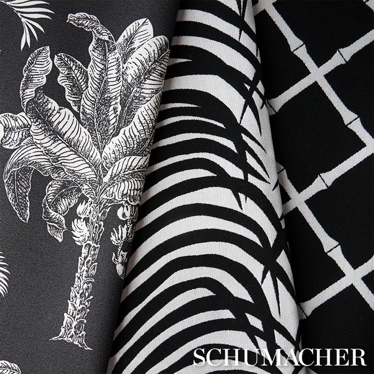 ZEBRA-PALM-INDOOR-OUTDOOR-BLACK-SCHUMACHER-82782 - Schumacher Fabric