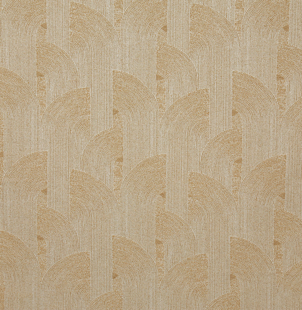 8293-barry-camel-pindler