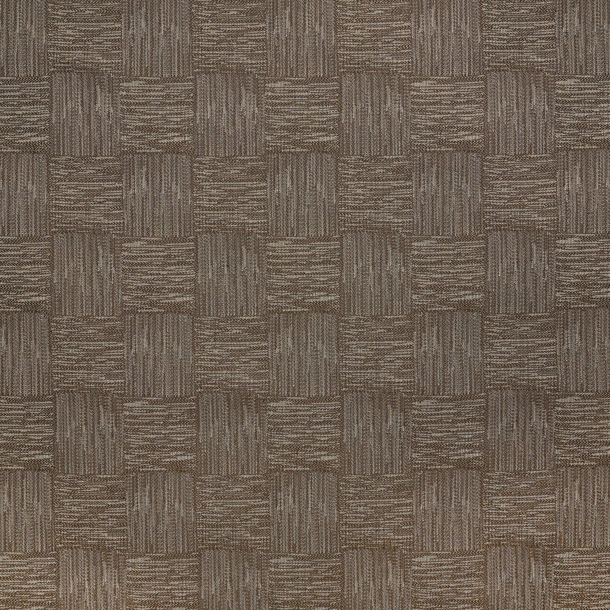8337-manzanita-java-pindler