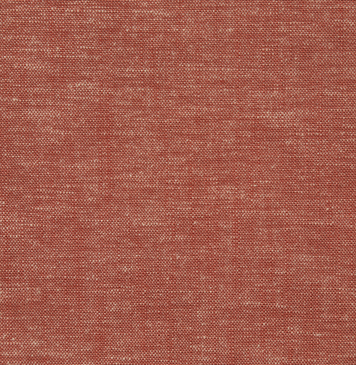 8342-gerald-paprika-pindler