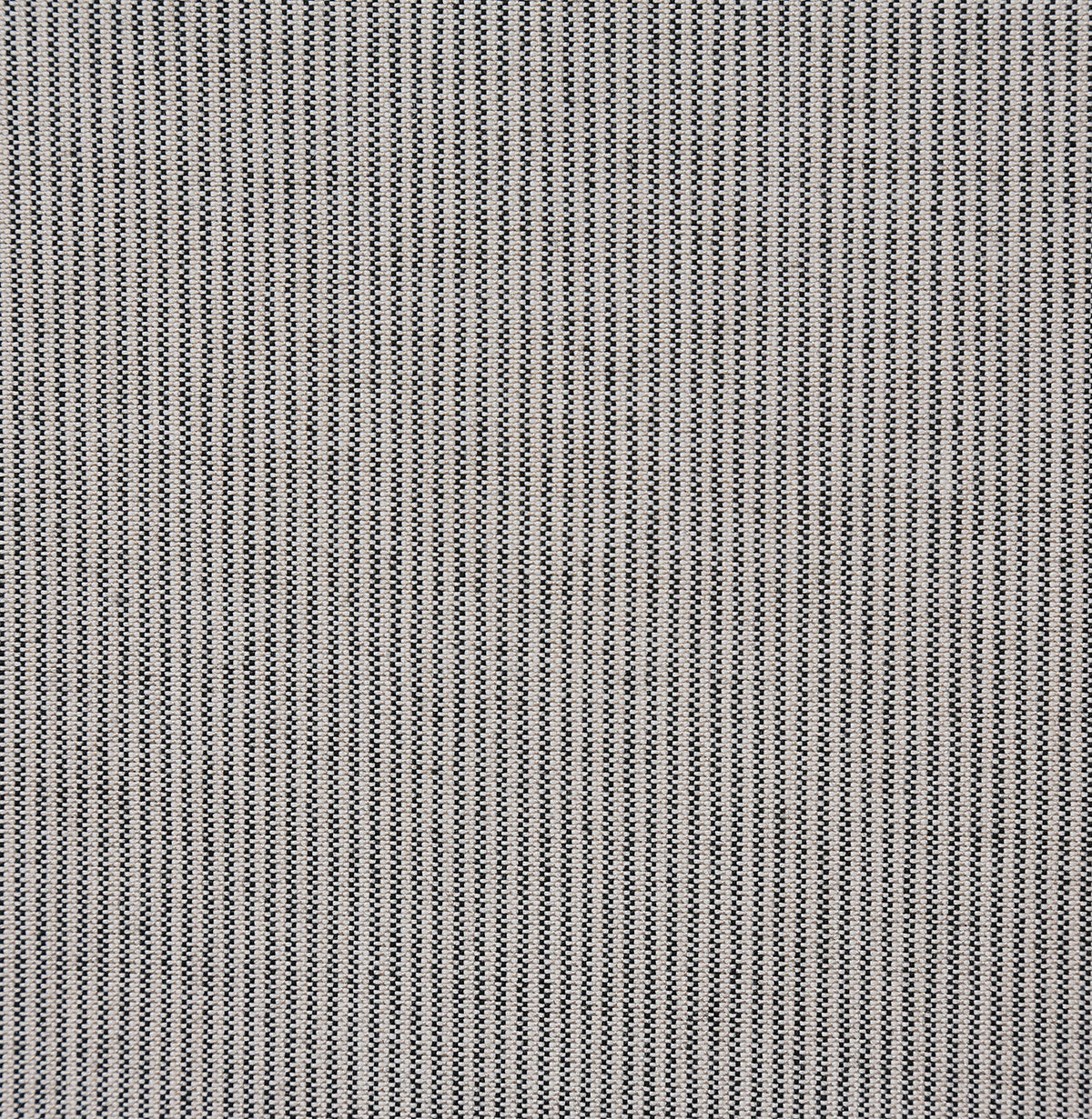 8344-story-domino-pindler