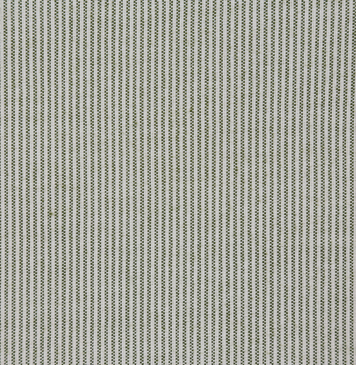 8344-story-fern-pindler