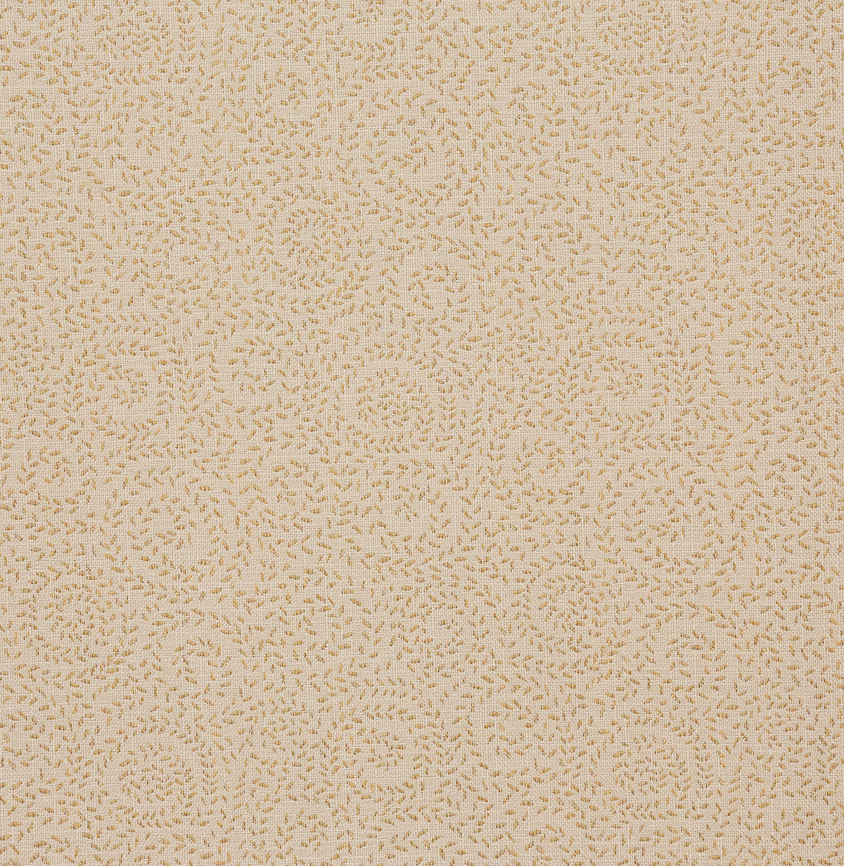 8346-marissa-wheat-pindler