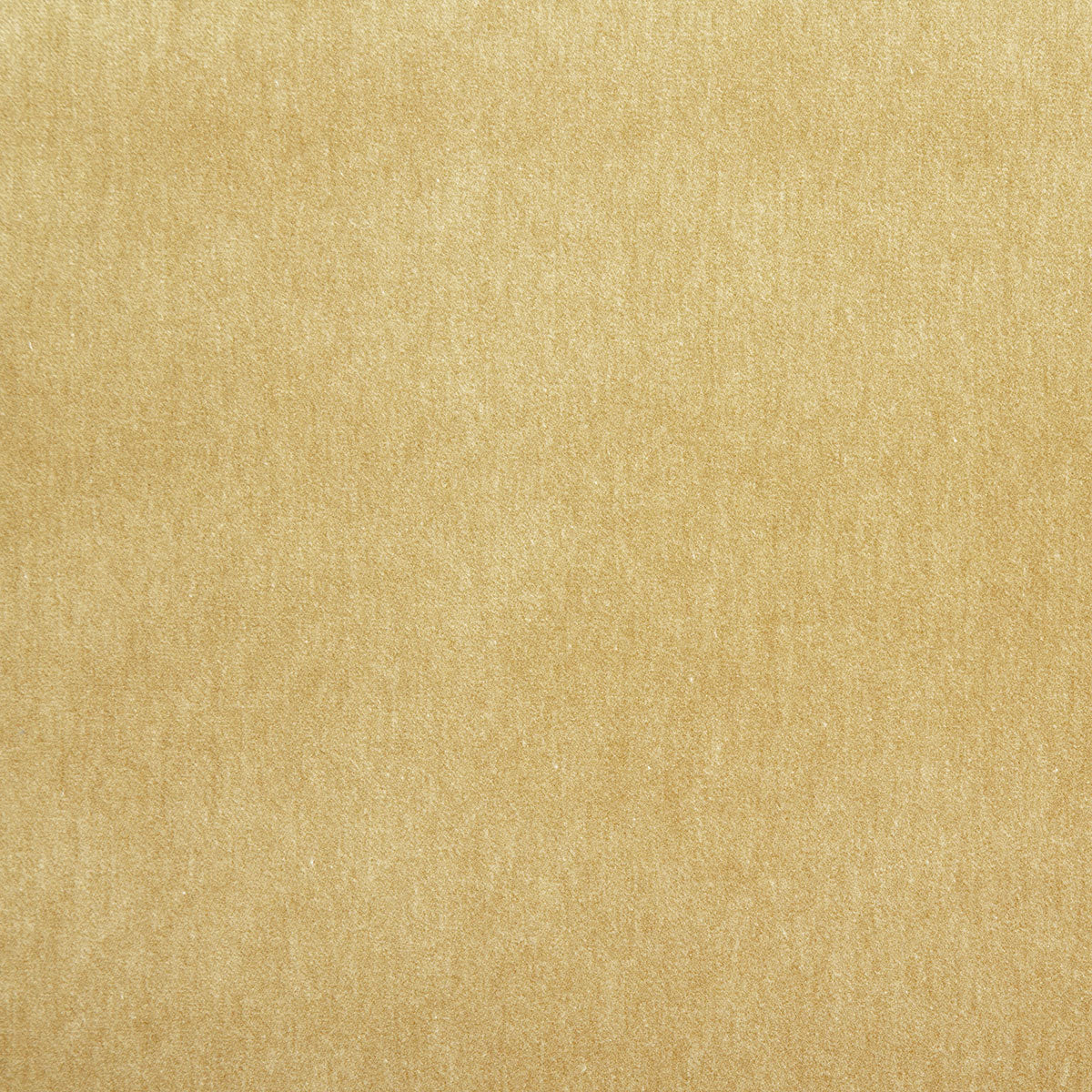 8348-kiara-camel-pindler
