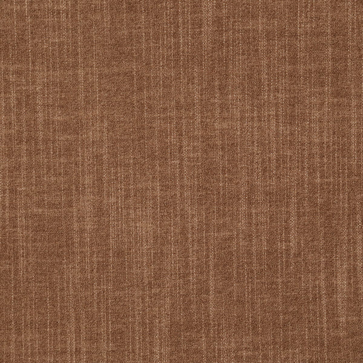 8362-kekoa-chestnut-pindler