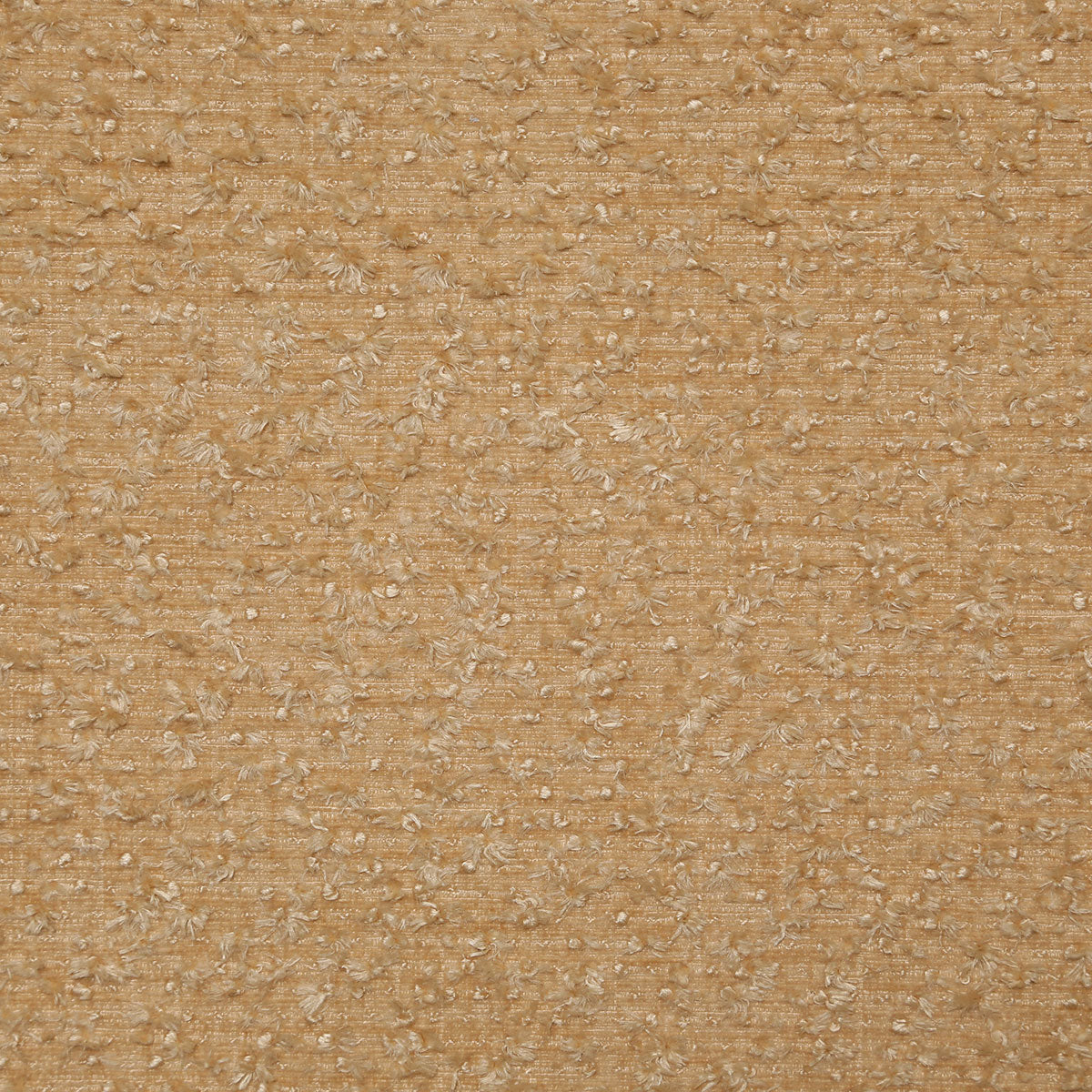 8363-lilo-caramel-pindler
