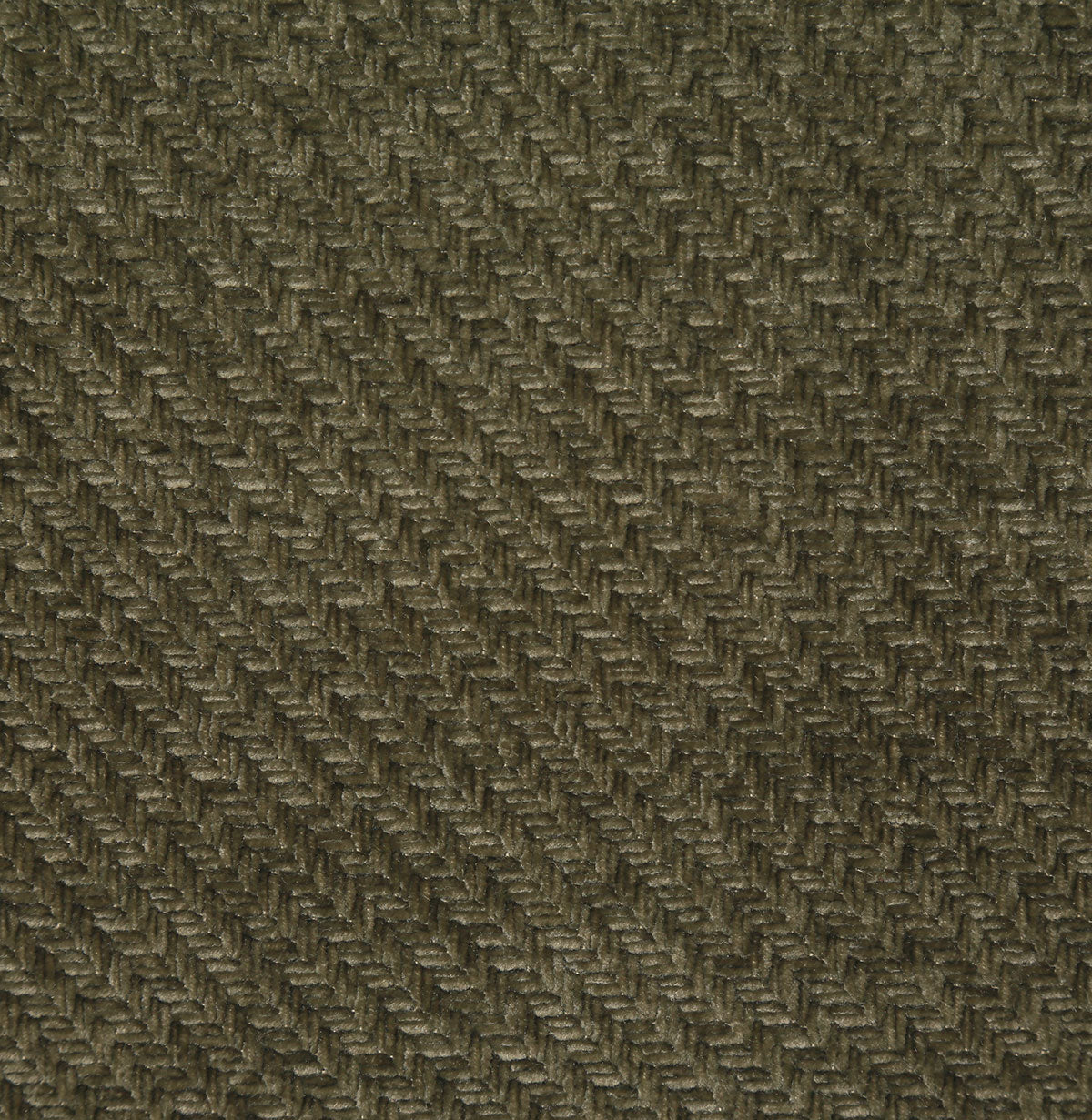 8366-zach-eucalyptus-pindler