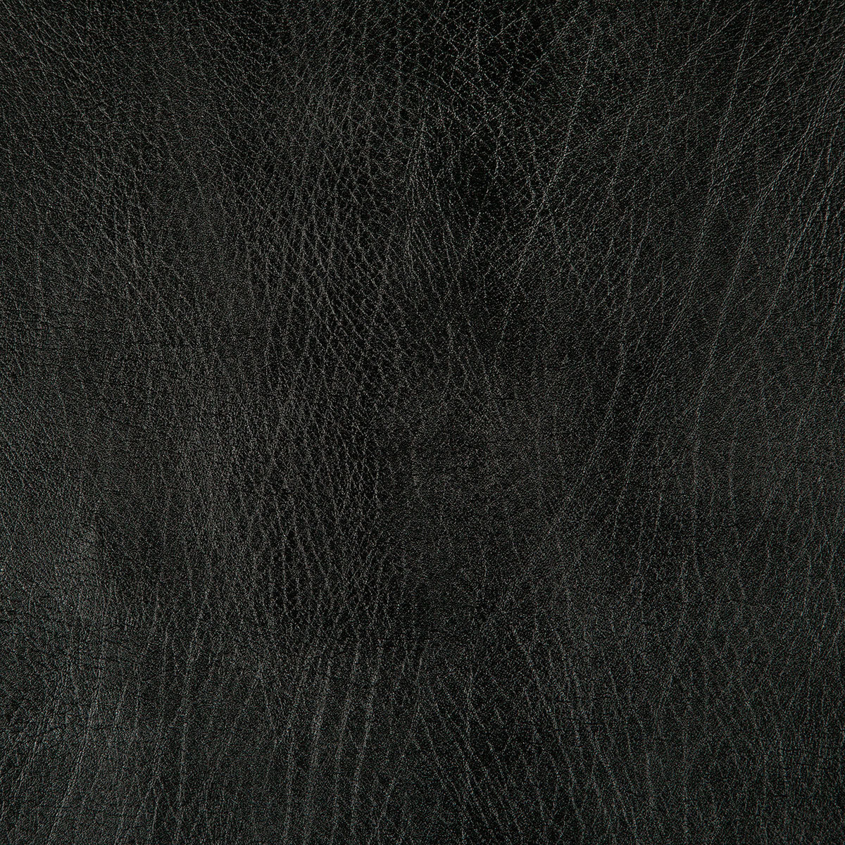 8371-rowdy-black-pindler