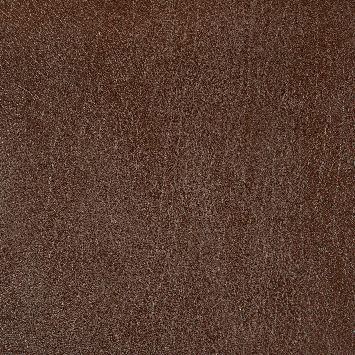 8371-rowdy-chestnut-pindler - Pindler Fabric
