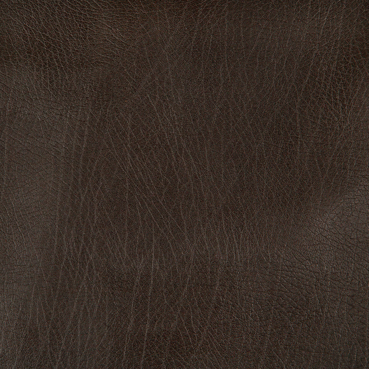 8371-rowdy-chocolate-pindler