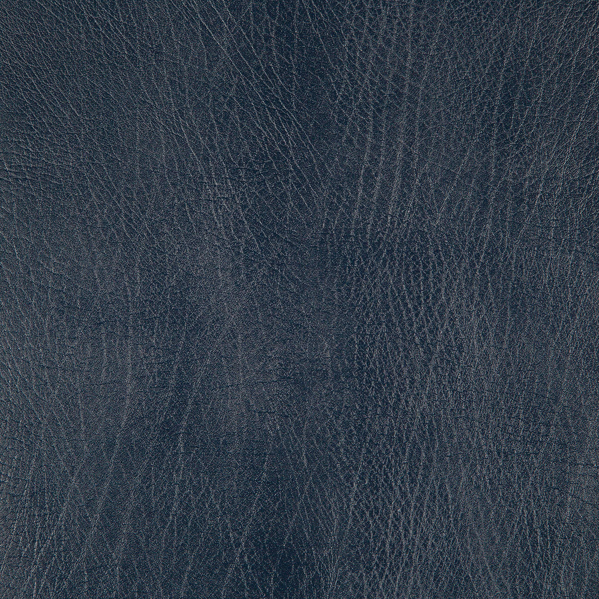 8371-rowdy-navy-pindler
