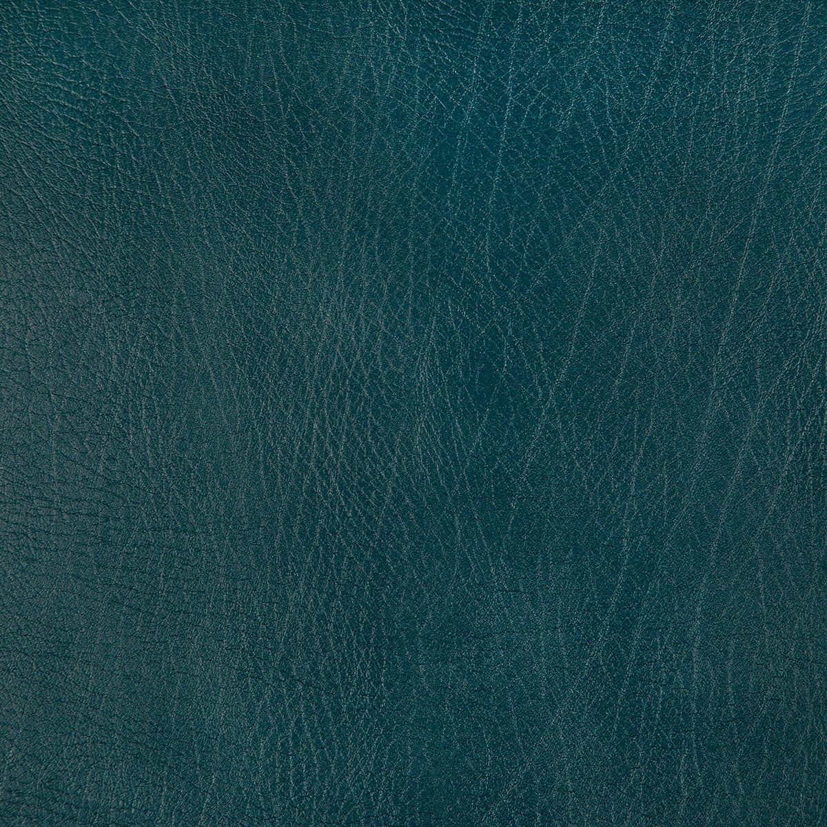8371-rowdy-peacock-pindler