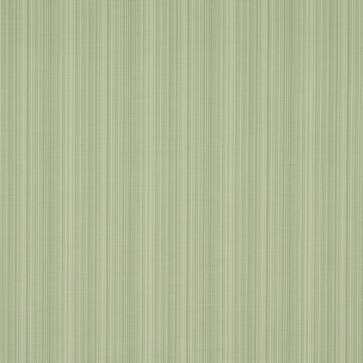 Gracie Solid Strié - Leaf Green - Schumacher 83720 Fabric - Schumacher Fabric