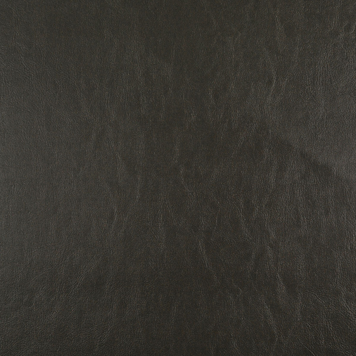 8372-carter-bark-pindler