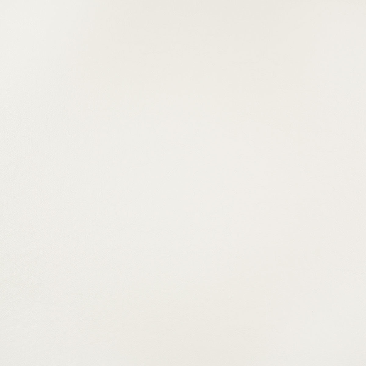 8372-carter-white-pindler