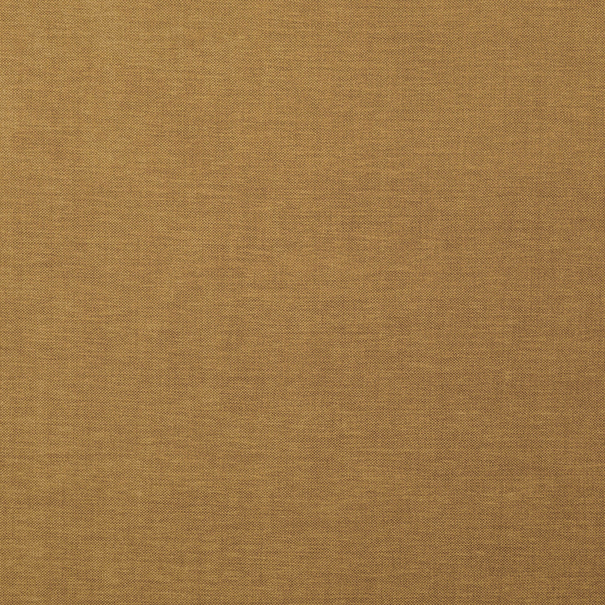 8402-paxton-gold-pindler