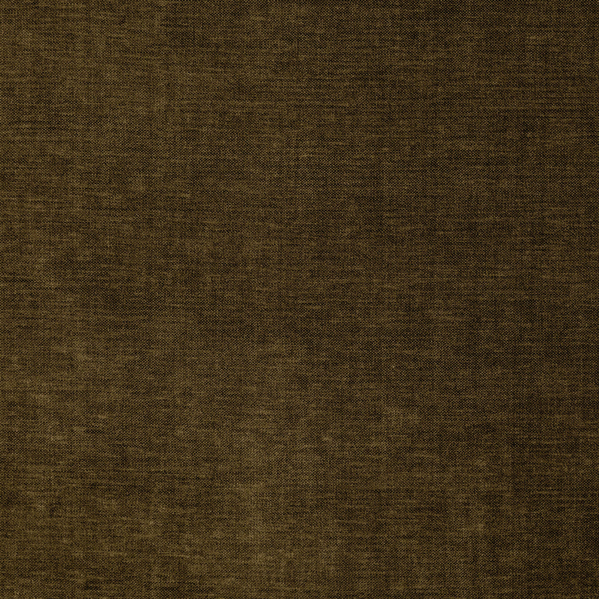 8402-paxton-loden-pindler