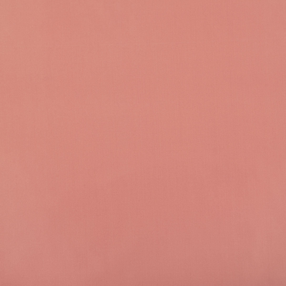8403-raquel-peony-pindler